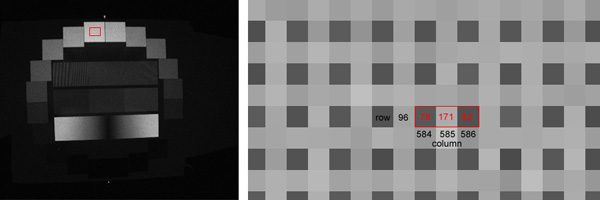 fig 5: original image (left), crop (right)