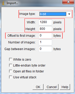 fig 3: ImageJ raw import