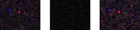 The JPEG files from our experiment (details)