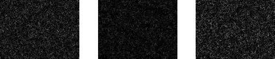 The RAW files from our experiment (details, same tonal correction for all three images)